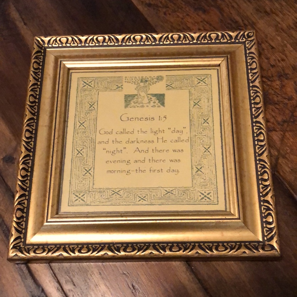 RARE Vintage GENESIS Frame